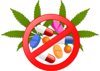 Komitmen Berantas Narkoba, Polres Metro Tangerang Kota Musnahkan 4,7 Kg Ganja Hingga Ratusan Ribu Obat Keras