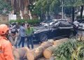 Tragedi Pohon Tumbang di Pondok Indah Renggut Nyawa Pengemudi Lexus, Pemda DKI Jakarta Didorong Evaluasi Total Perawatan Pohon Kota
