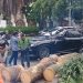 Tragedi Pohon Tumbang di Pondok Indah Renggut Nyawa Pengemudi Lexus, Pemda DKI Jakarta Didorong Evaluasi Total Perawatan Pohon Kota