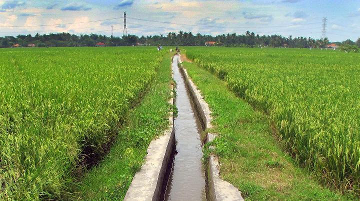 Pengadilan Tipikor Makassar Vonis Empat Terdakwa Kasus Korupsi Proyek Irigasi Rp28 Miliar di Bone, Hakim Kuatkan Tuntutan Jaksa
