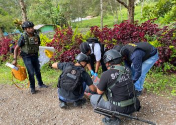 KKB Kembali Berulah: Pekerja Jalan Ditembak Mati di Intan Jaya, Proyek Infrastruktur Terancam Mandek