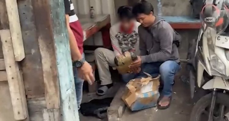 Polda Metro Jaya Bekuk Pengedar, 2,1 Kg Ganja Diamankan di Tambora Jakarta Barat