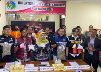 Polda Kepri Ringkus 13 Pengedar Narkoba di Batam, Sita Sabu dan Ganja Hasil Joint Investigation