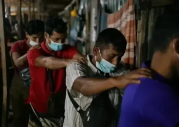 Yusril Ungkap Peran Ribuan WNI dalam Jaringan Judi Online Lintas Negara