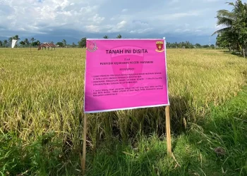 Kerugian Negara Dihitung Rp900 Juta: Kasus Korupsi Penjualan Aset Pemkab Lombok Barat Terus Didalami