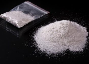 BNN Ubrak-Abrik “Kampung Narkoba” Berlan, 25 Orang Ditangkap