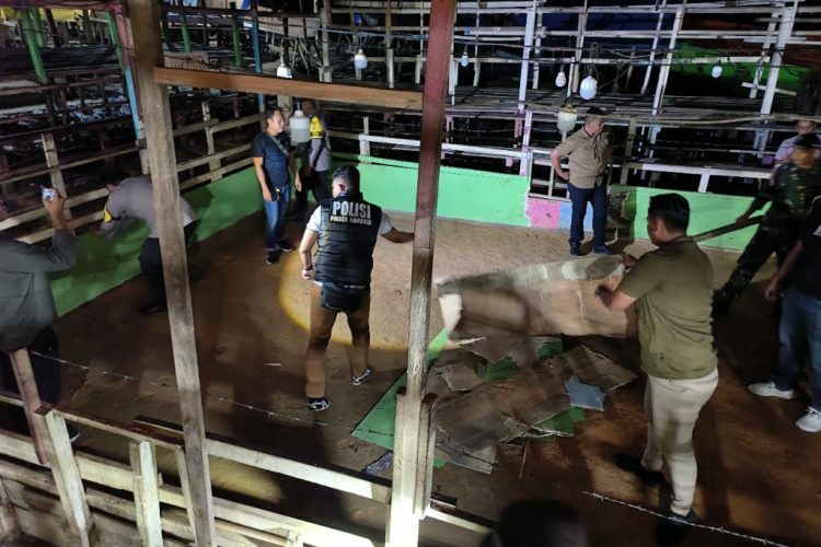 Arena Judi Sabung Ayam Tegal Arum Diduga Dibekingi Oknum, Aktivitas Berjalan Aman