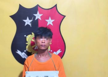 Berantas Narkoba, Polsek Panai Hilir Ringkus Pengedar Sabu di Sei Berombang, Puluhan Paket Disita