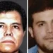 Putra ‘El Chapo’, Joaquín Guzmán López, Siap Mengaku Bersalah di AS