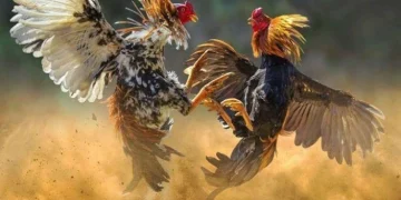 Aroma Judi di Area Permainan Anak: Swalayan Mandiri Pelalawan Jadi Sorotan Tajam!