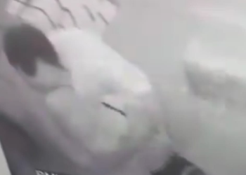 Skandal di Rumah Sakit: Aksi Tak Senonoh di Lingkungan RSUD Kudus Terbongkar, Publik Heboh