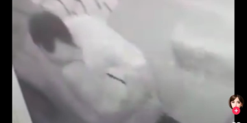 Skandal di Rumah Sakit: Aksi Tak Senonoh di Lingkungan RSUD Kudus Terbongkar, Publik Heboh