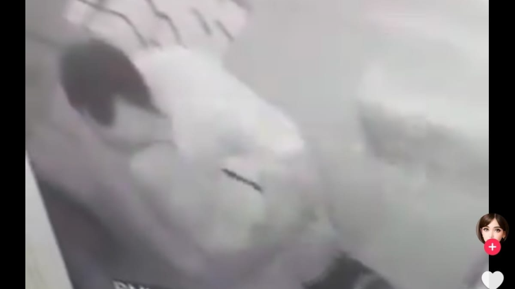 Skandal di Rumah Sakit: Aksi Tak Senonoh di Lingkungan RSUD Kudus Terbongkar, Publik Heboh